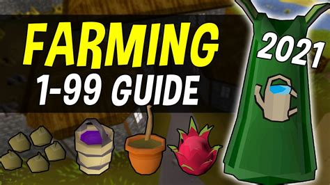 1-99 farming guide osrs|runescape old school farming guide.